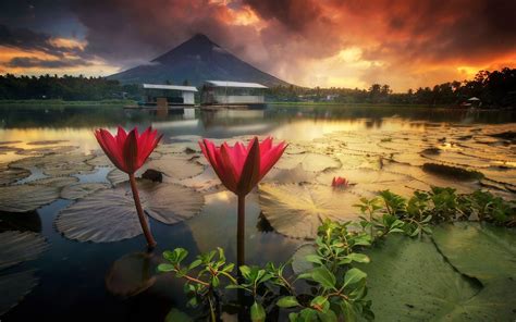 Mayon Volcano Wallpapers - Top Free Mayon Volcano Backgrounds - WallpaperAccess