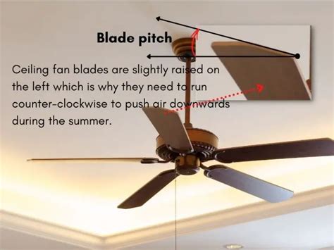 Ceiling Fan Directions for Summer vs Winter [Infographic]