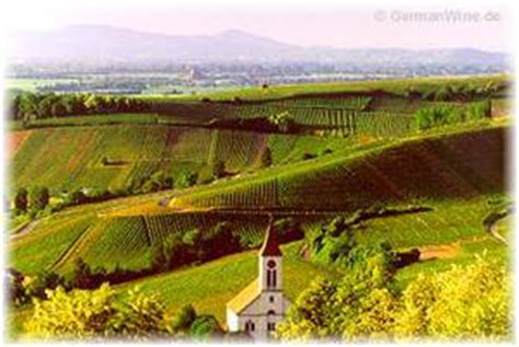 german wines: baden, germany - german wine region baden