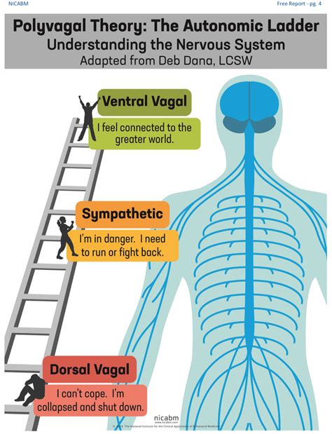 Why understanding your autonomic nervous system matters — Kristin McConnell, OTD, OTR/L