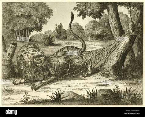 1834 French engraving of The Lion and the Mouse (Rat) fable Stock Photo - Alamy