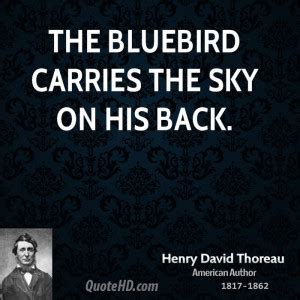 Henry David Thoreau Nature Quotes. QuotesGram