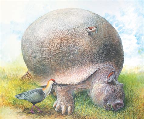 What in the World Was a Key-Footed Glyptodon? - Atlas Obscura