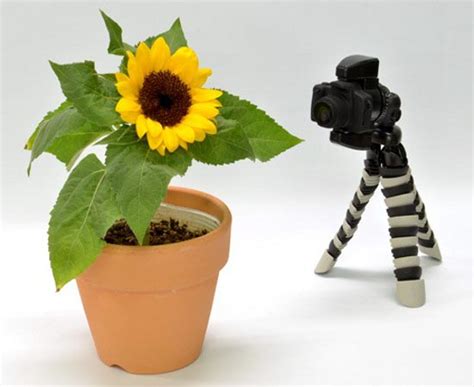 Time Lapse Chobi Cam One Mini Camera | Gadgetsin