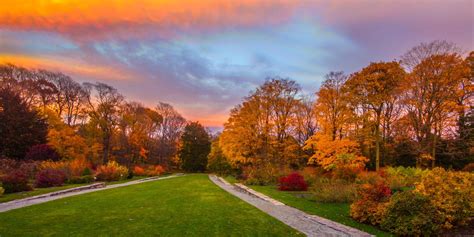 12 Best Places for Fall Foliage in Boston | Travel and Blossom