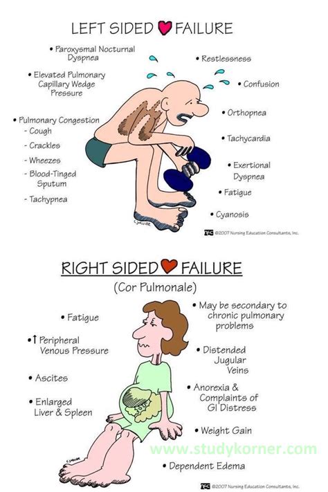 Nursing Left Sided Heart Failure - StudyPK