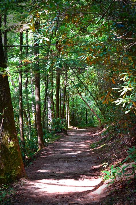 Red River Gorge Hiking Trail Photo Print Kentucky Nature | Etsy ...