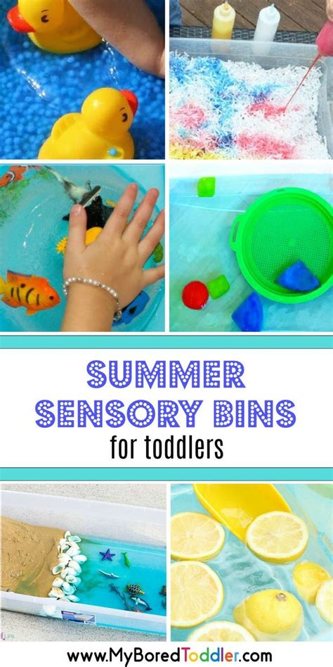 Summer Sensory Bins for Toddlers | Sensory bins, Summer activities for ...