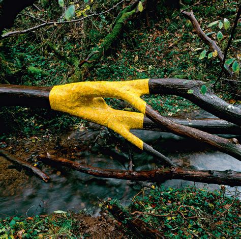 Détecteur double Hypothèses, hypothèses. Devine andy goldsworthy ice ...