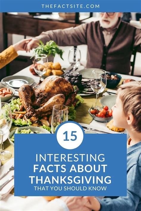 15 Interesting Facts About Thanksgiving That You Should Know - The Fact Site