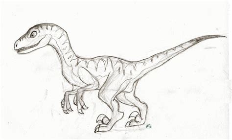 Raptor Dinosaur Drawing at PaintingValley.com | Explore collection of ...