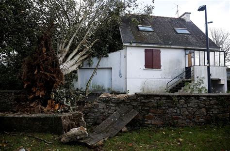 Worker dies while repairing storm Ciaran damage in northwest France | Reuters