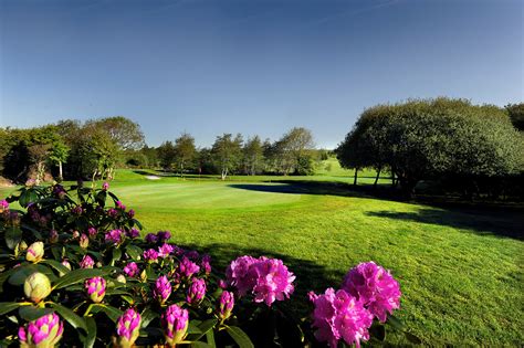 Long Read: Busy Times at Kinsale Golf Club | Cork Golf News