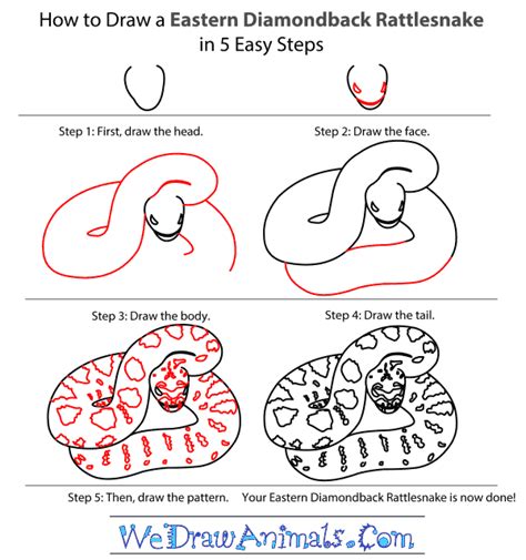 How To Draw A Rattlesnake Step By Step Easy Snake Drawing | Images and Photos finder