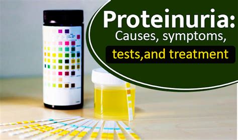 Proteinuria: Causes, symptoms, tests, and treatment - Karma Ayurveda Health Hospital