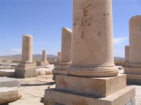 Pasargadae, Palace P, Columns - Livius