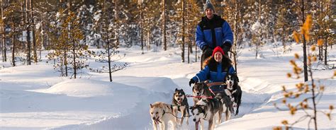 Husky Sledding in Finland: What to Expect - On The Go Tours Blog