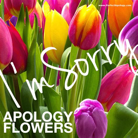 Saying Sorry: Best Apology Flowers & Gift Baskets