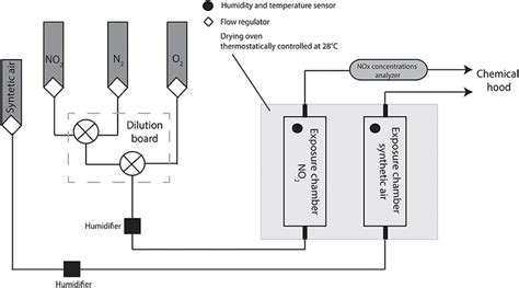 Schematic representation of NO2 gas delivery system. Bacterial NO2... | Download Scientific Diagram