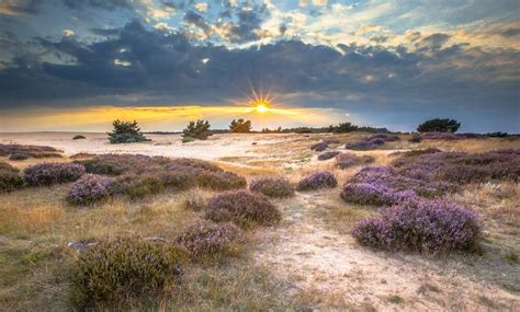 National parks in the Netherlands