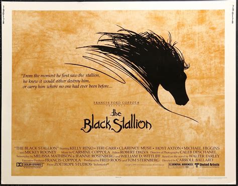 The Black Stallion Movie Poster | Half Sheet (22x28) Original Vintage ...