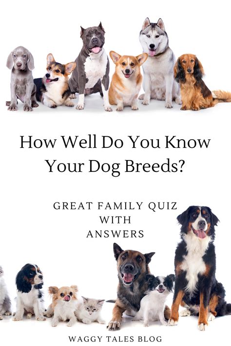 Dog Breeds Quiz Answers