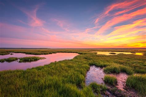 Hop, Skip, and a Jump – Greg Molyneux Photography