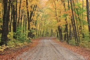 Fall Foliage in Algonquin Park – drifters chronicles