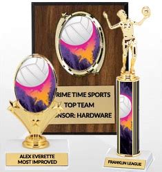 Volleyball Awards, Trophies, Medals | Sports Awards | Dinn Trophy