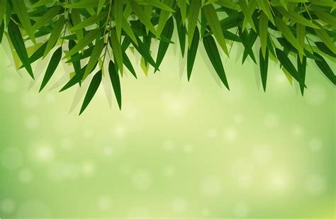 A green bamboo leaf background 696106 Vector Art at Vecteezy