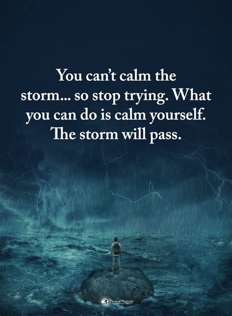 You can't calm the storm...so stop trying... What you can do is calm yourself... The storm w ...