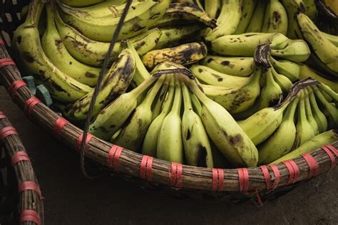 The basic ins and outs of banana farming in SA | AgriMag Blog