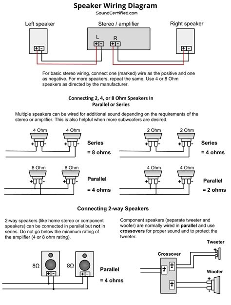 Speaker Tweeter Wiring Diagram – Easy Wiring