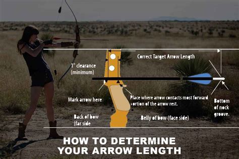 How to Determine Arrow Length for Compound Bow