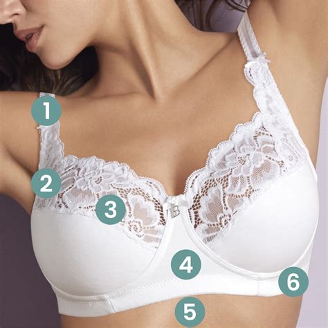 Bra Fitting Guide - Common Bra Fitting Questions - AmpleBosom.com