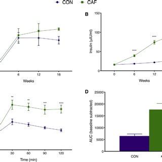 CAF feeding causes hyperinsulinemia and glucose intolerance but does... | Download Scientific ...