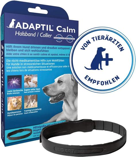 Best Dog Calming Collars 2024 to Keep Dogs Calm & Quite – Pet Guide Reviews