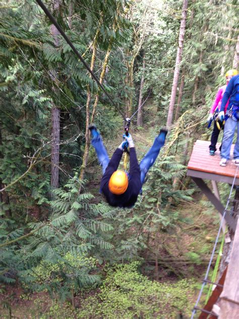 Treehouse Island Zip Line Adventures