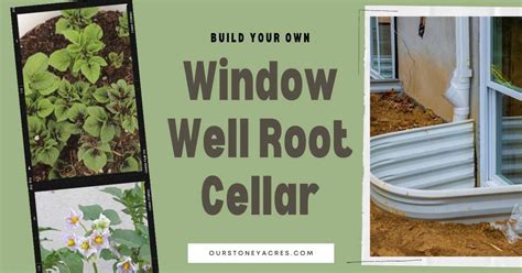 Building and Using a Window Well Root Cellar - Our Stoney Acres