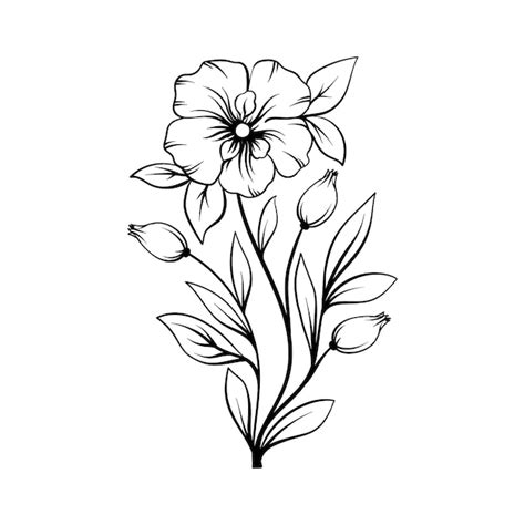 Flower Clipart Outline Images - Free Download on Freepik