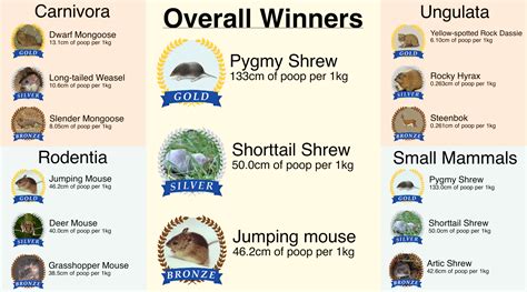 Animal Poop Identification Chart