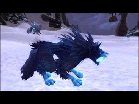 WoW Hunter Guide #2: Skoll - YouTube