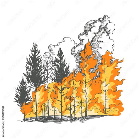 Forest Fire Drawing