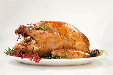 22,800+ Turkey Platter Stock Photos, Pictures & Royalty-Free Images ...