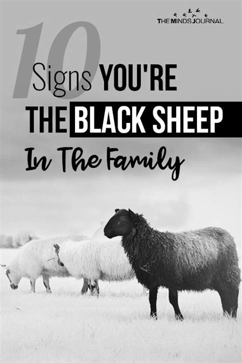 Black Sheep Family Quotes - QUOTESTC