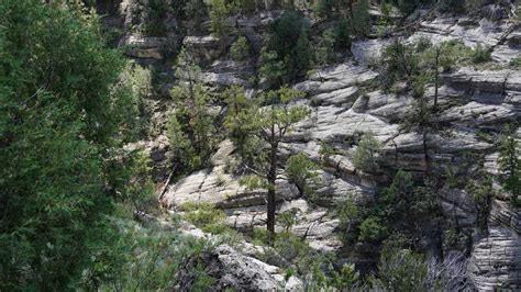 Up Close and Personal at Walnut Canyon National Monument - Cactus Atlas