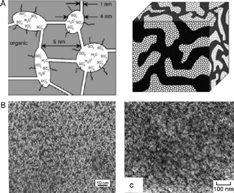 (A) Schematic representation of the channelled structure of Nafion ®... | Download Scientific ...