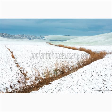 Crete Senesi - A Landscape Through The Seasons