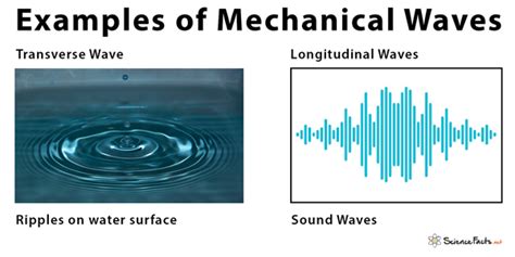 Examples Of Mechanical Waves