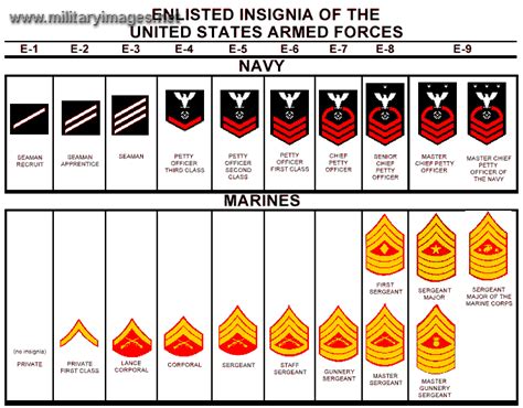 US Navy Enlisted Ranks | MilitaryImages.Net